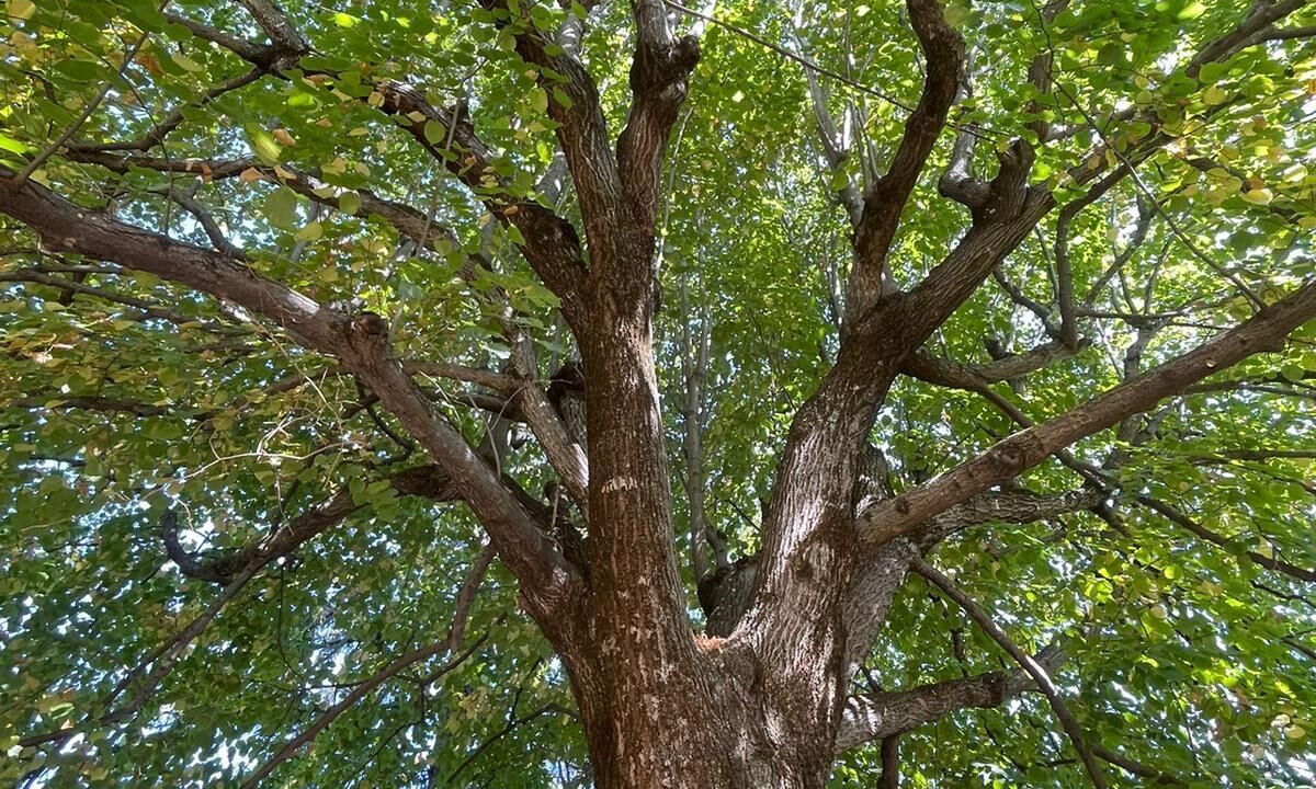 Photo of Outdoor in Aups