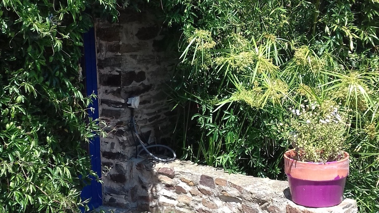 Photo of Outdoor in Plouer-sur-Rance
