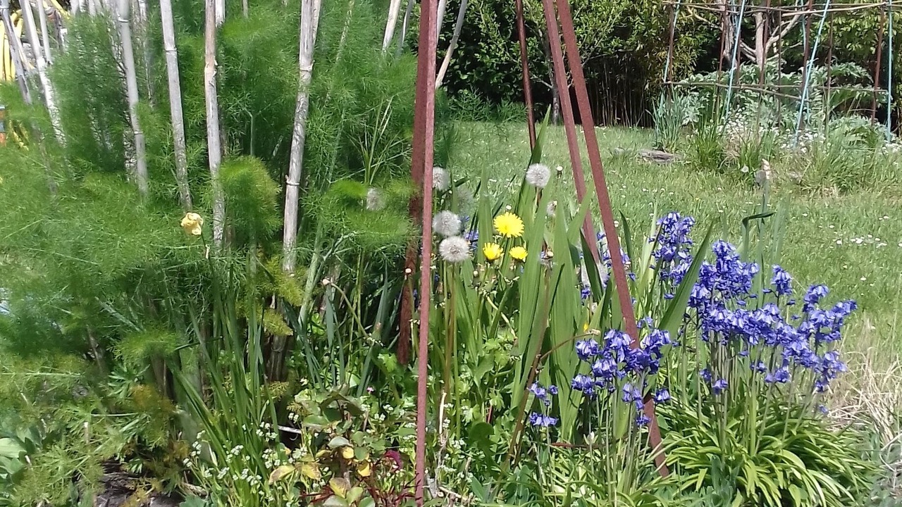 Photo of Outdoor in Plouer-sur-Rance