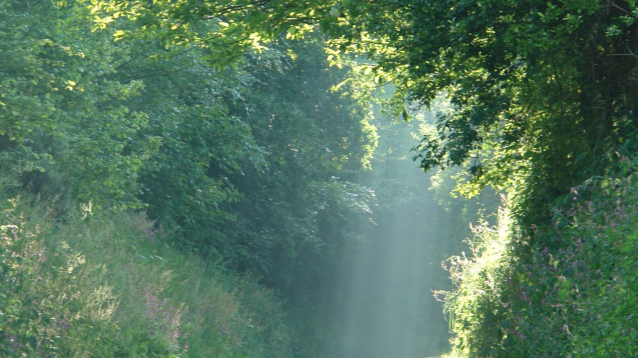 Photo of Others in Yvias
