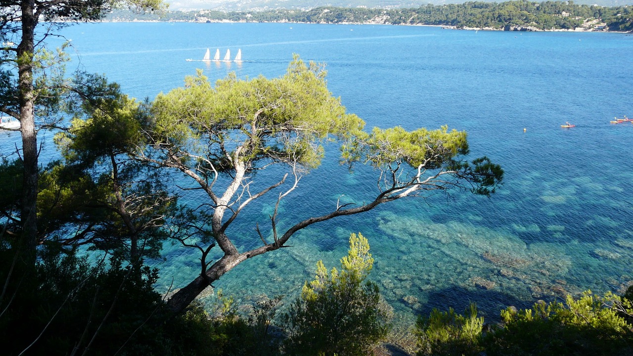 Photo of Outdoor in Le Pradet