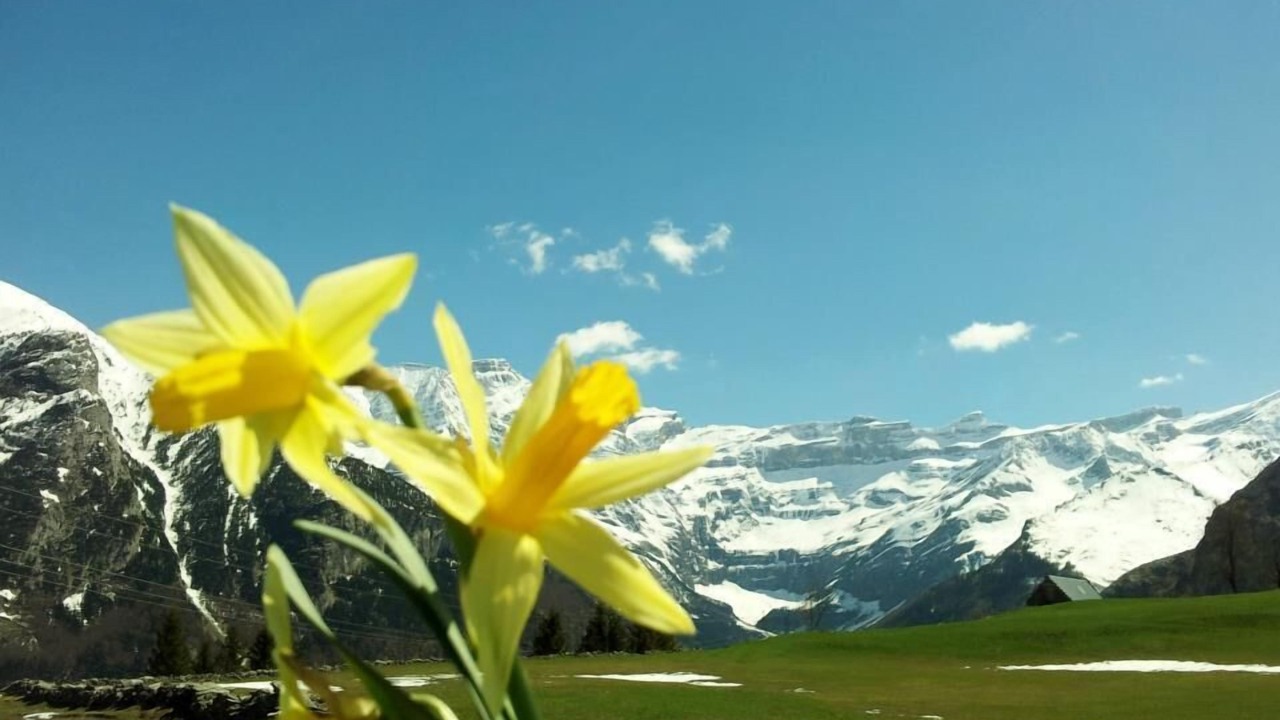 Photo of Others in Gedre