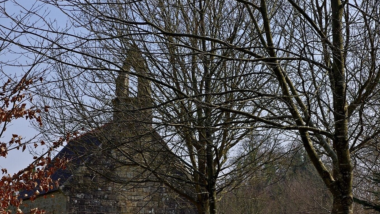 Photo of Outdoor in Pabu