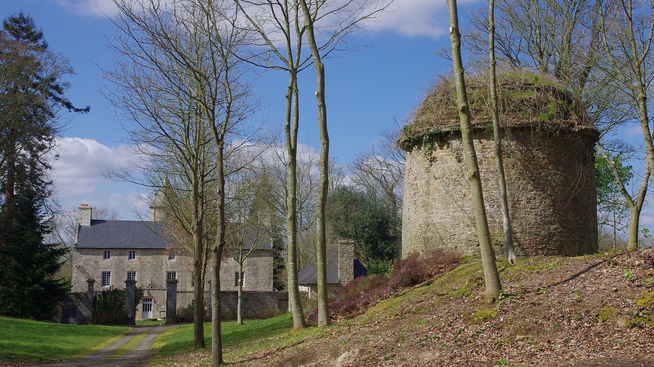 Photo of Outdoor in Pabu