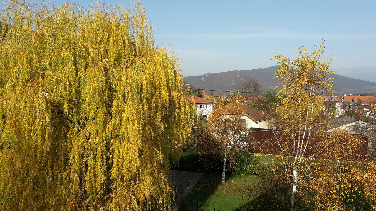 Photo of Outdoor in Chatenois