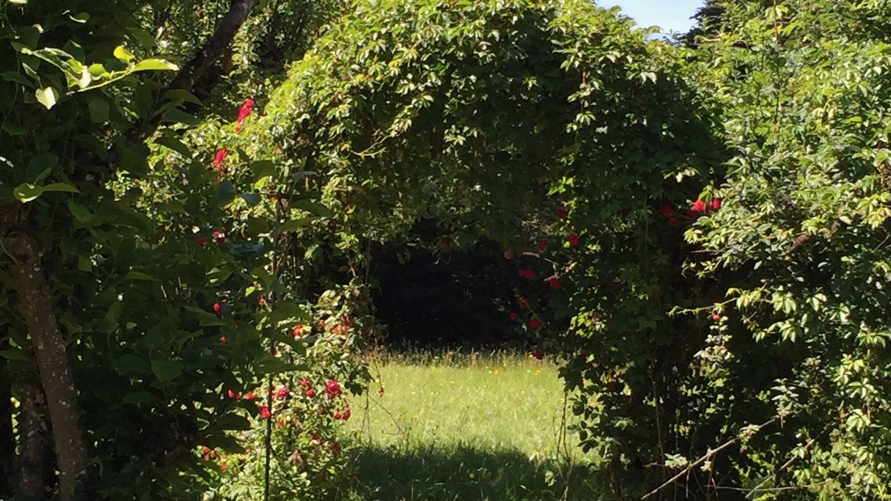Photo of Outdoor in Saint-Jorioz