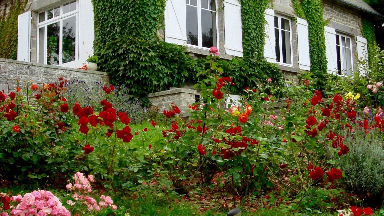 Photo of Outdoor in Saint-Cast-le-Guildo