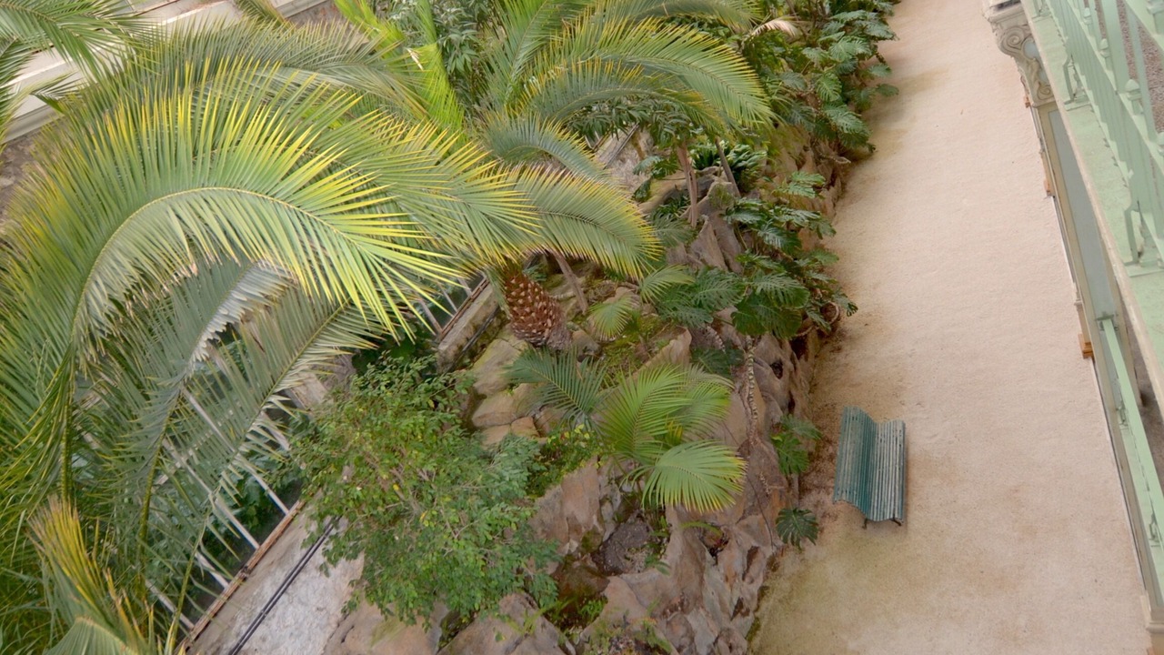 Photo of Outdoor in Beausoleil