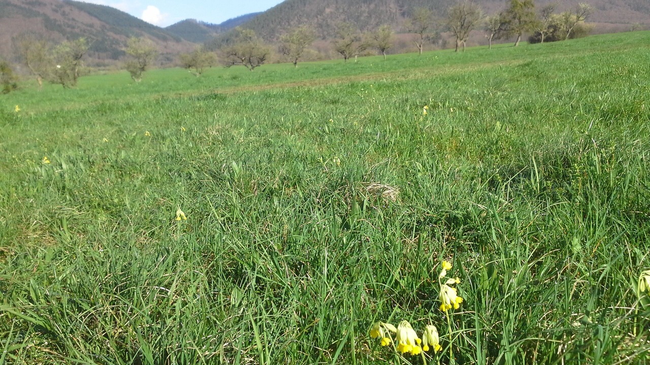 Photo of Outdoor in Niederhaslach