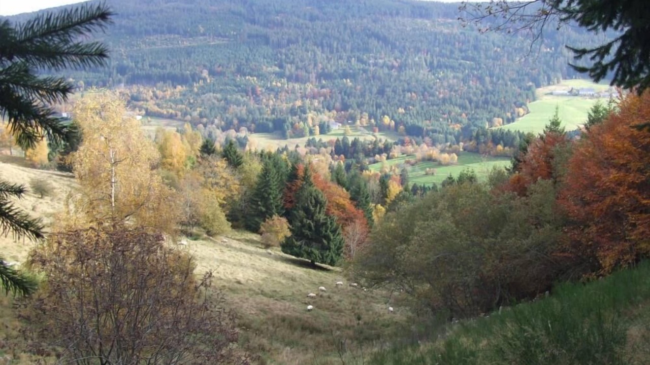 Photo of Others in Plainfaing
