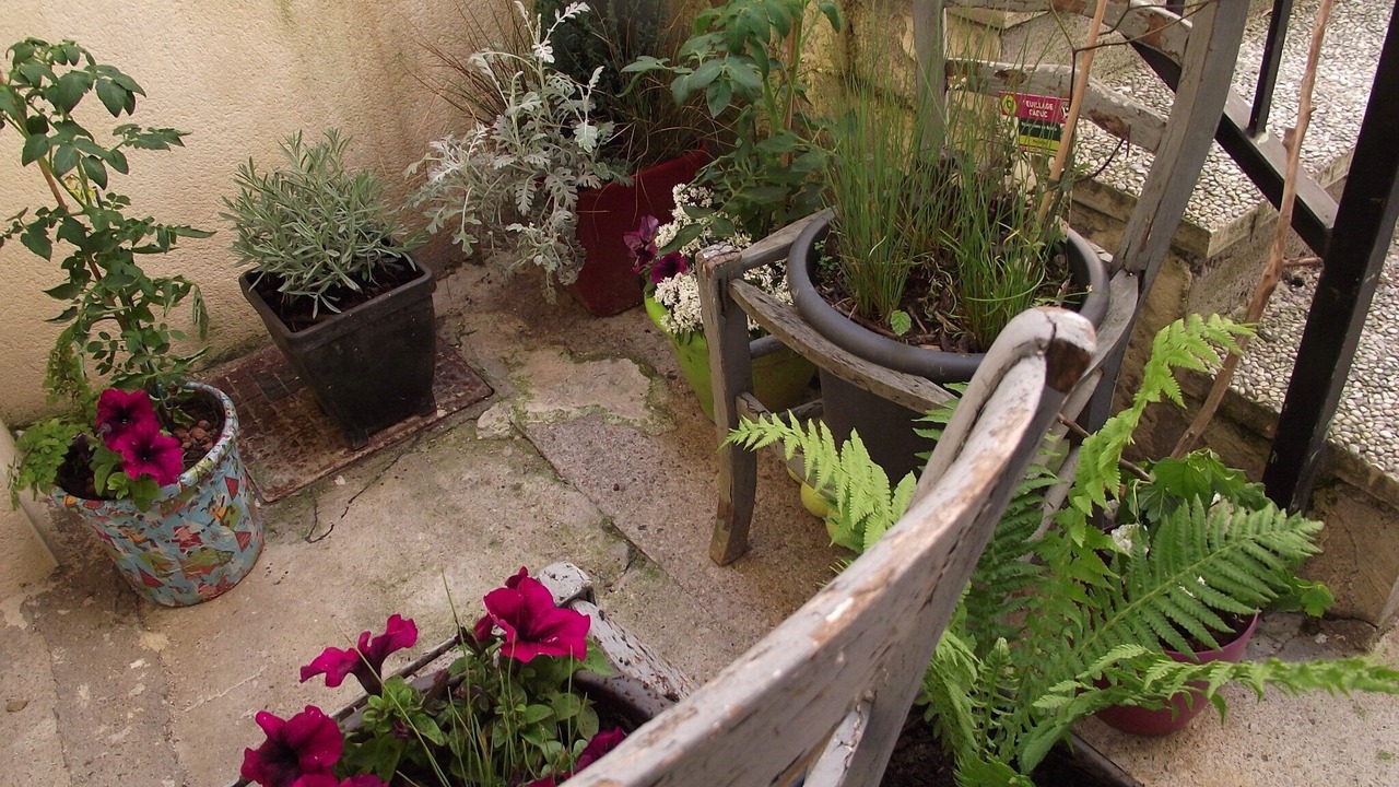 Photo of Patio Balcony in Saulxures-les-Nancy