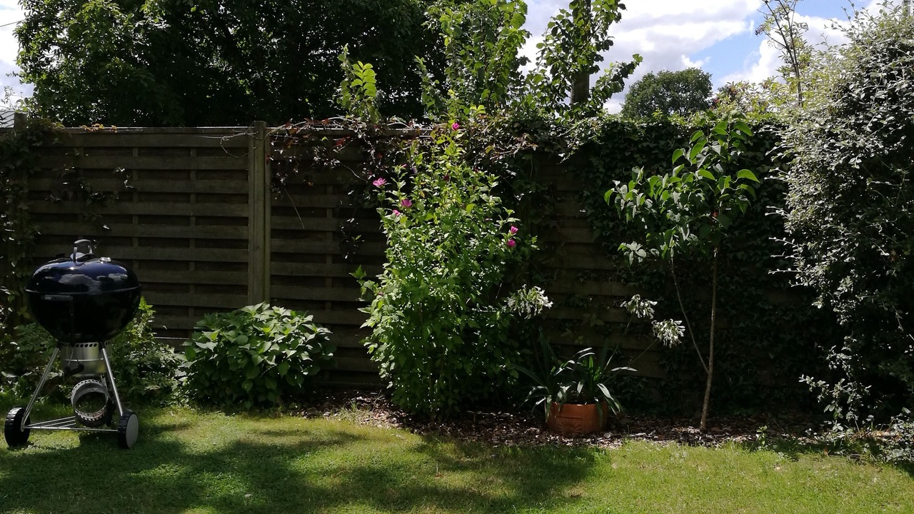 Photo of Outdoor in Meillac
