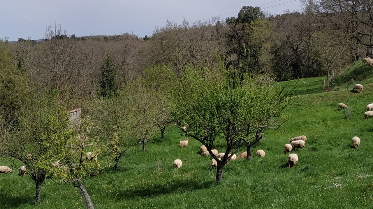 Photo of Outdoor in Escouloubre-les-bains