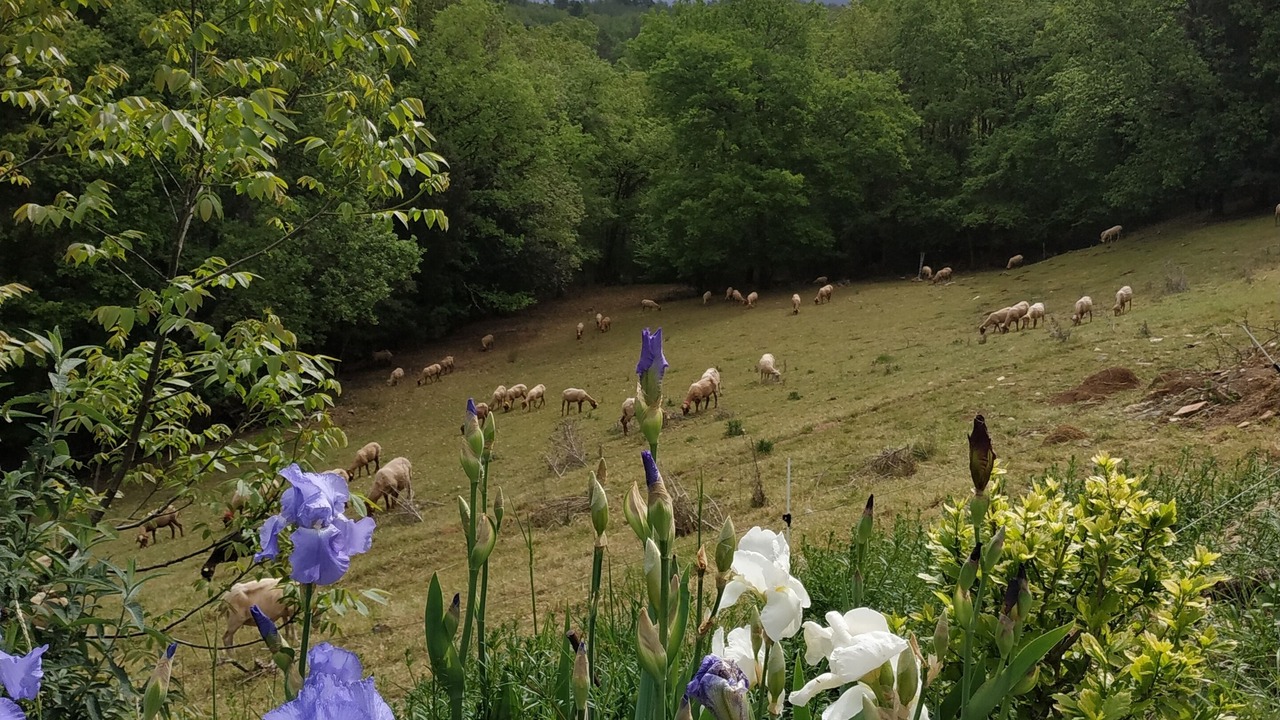 Photo of Outdoor in Escouloubre-les-bains