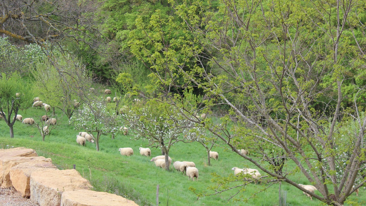 Photo of Outdoor in Escouloubre-les-bains