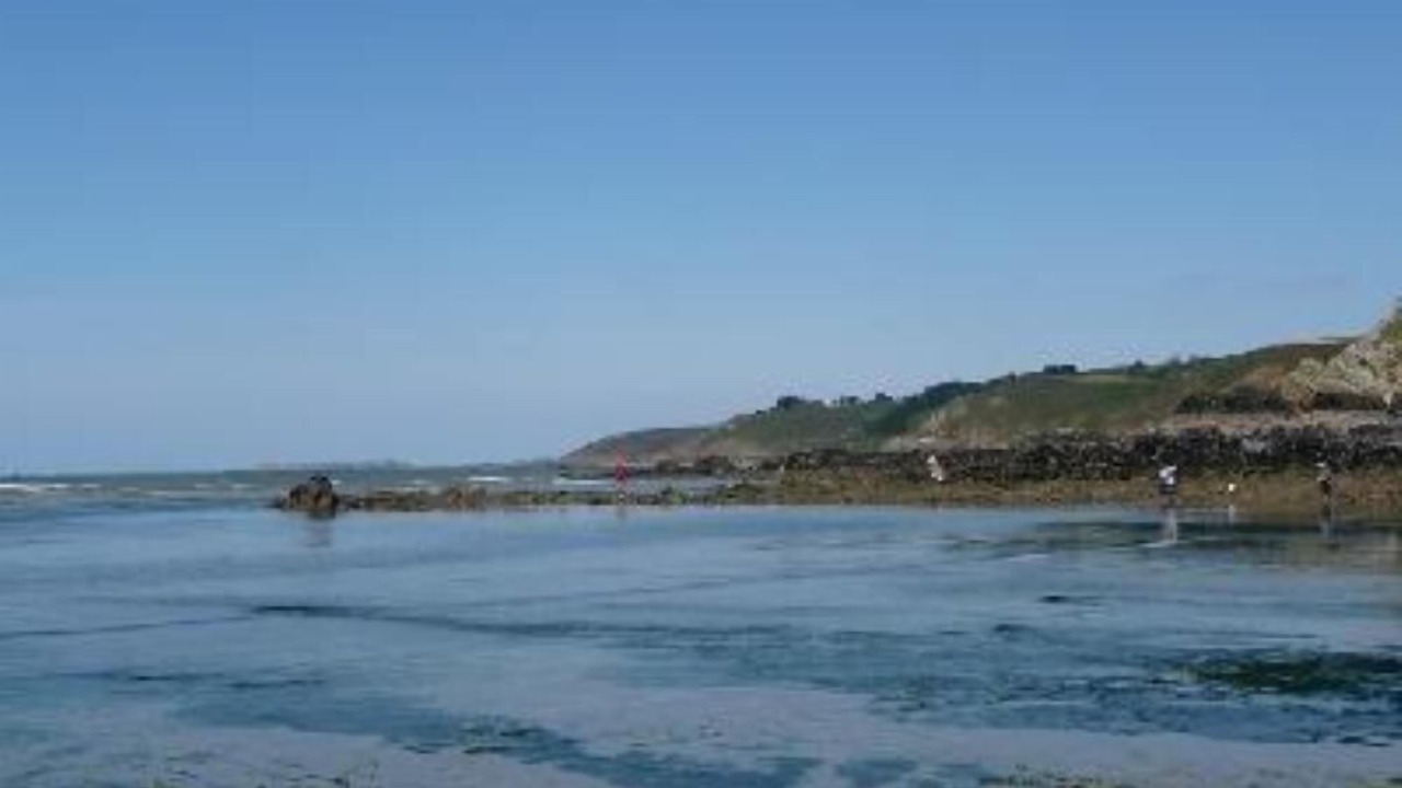 Photo of Others in Tredrez-Locquemeau