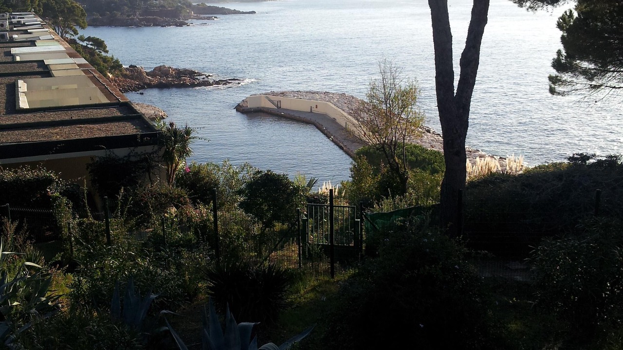 Photo of Others in Bandol