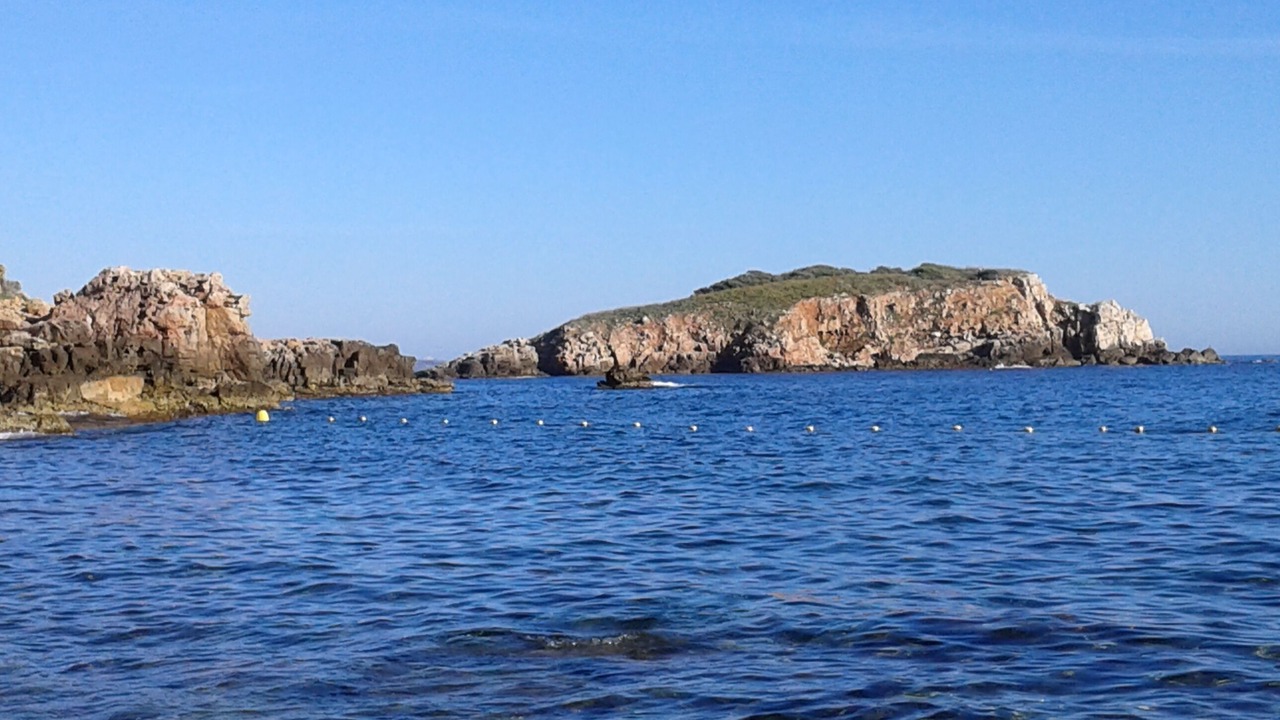 Photo of Others in Bandol