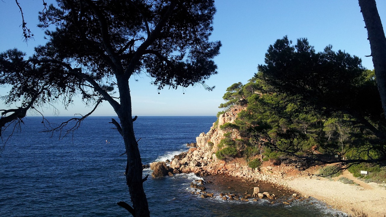 Photo of Others in Bandol