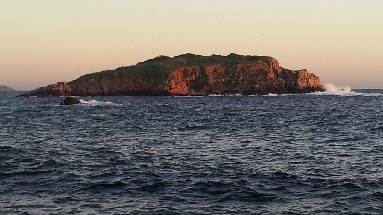 Photo of Others in Bandol