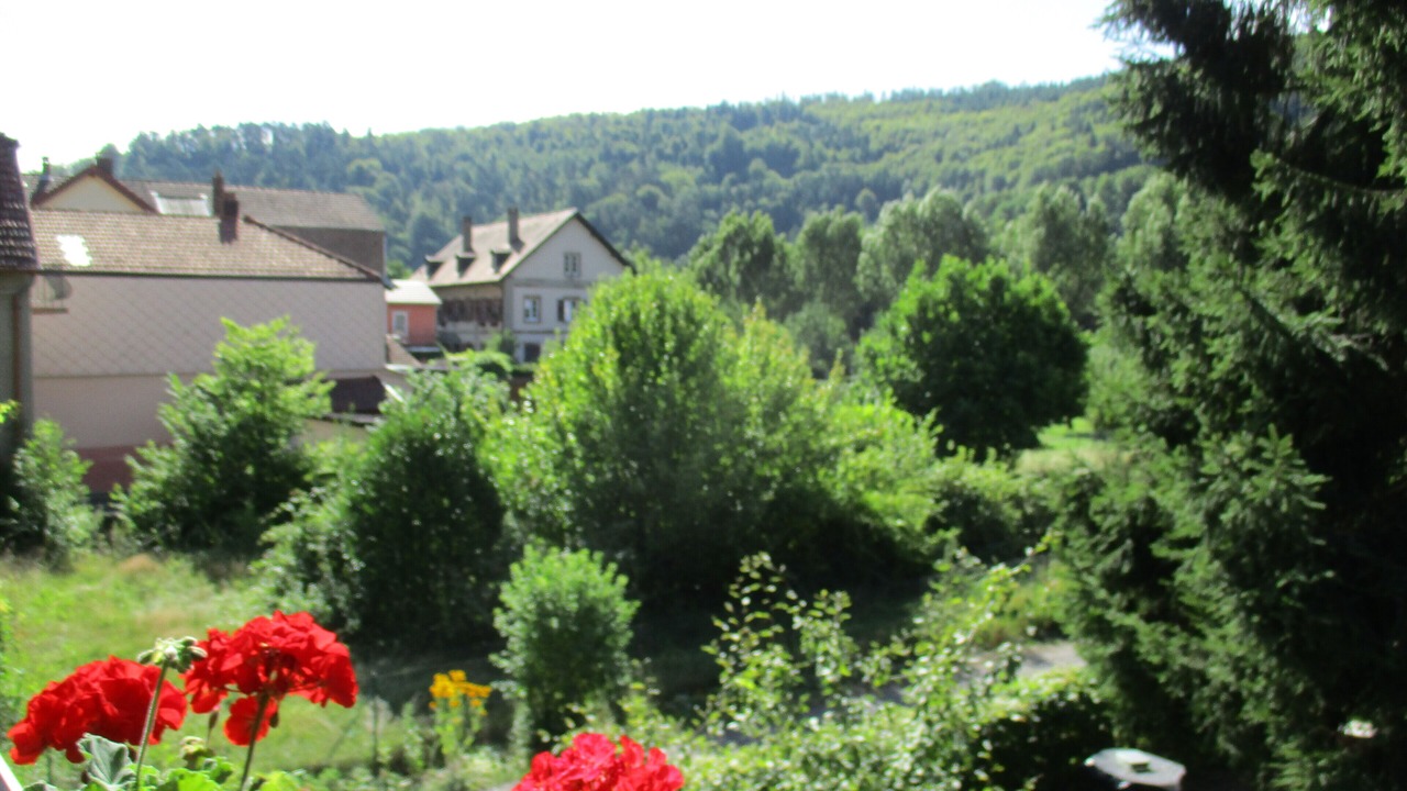 Photo of Outdoor in Lutzelbourg
