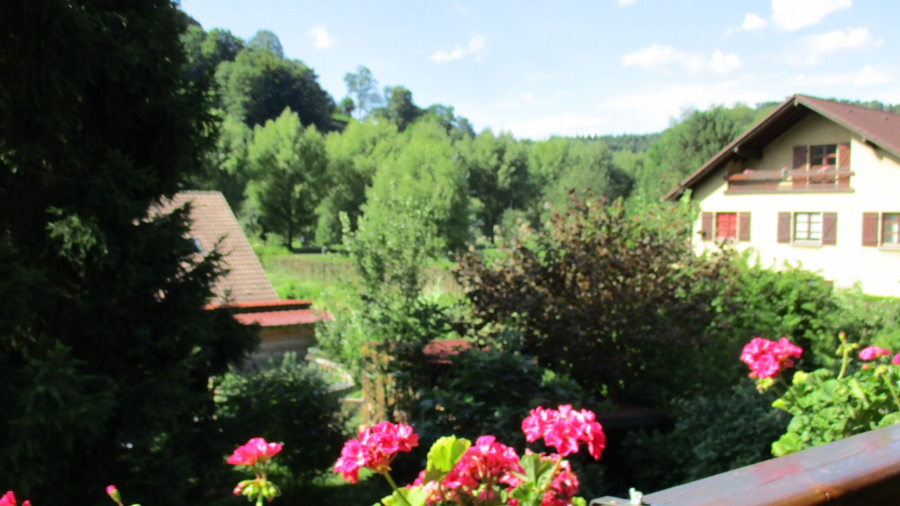 Photo of Outdoor in Lutzelbourg