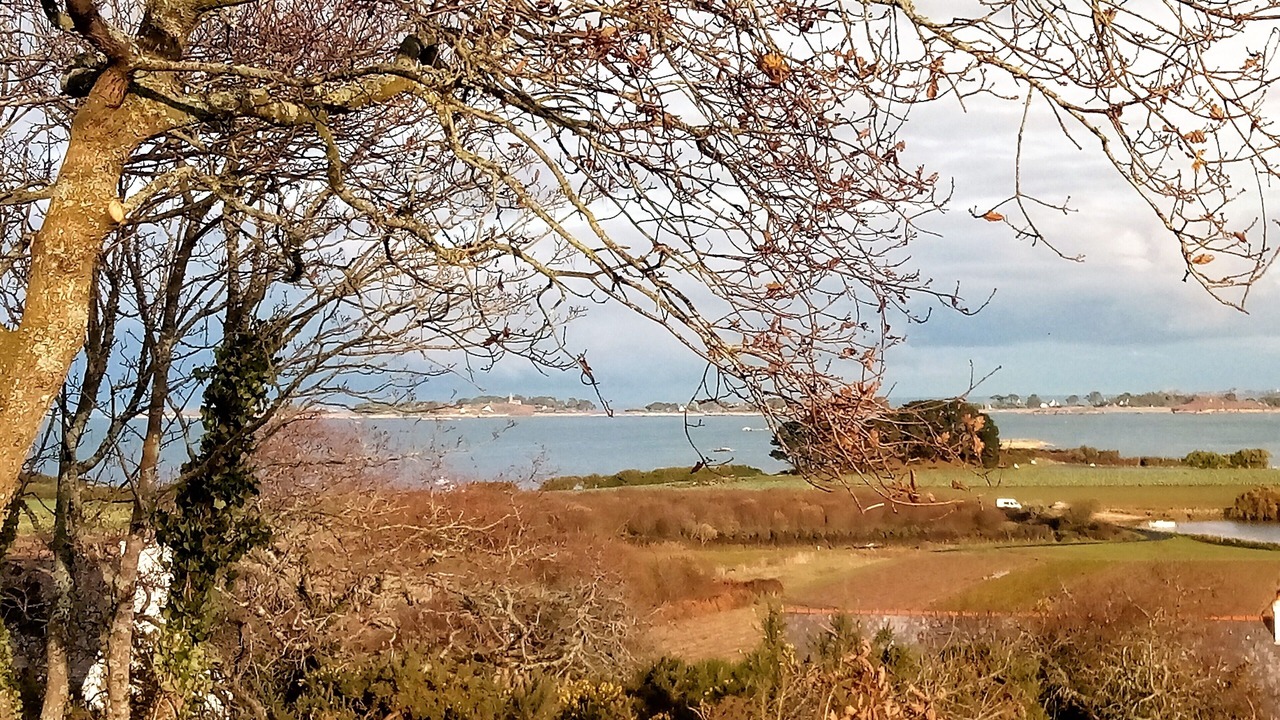 Photo of Outdoor in Saint-Pol-de-Leon