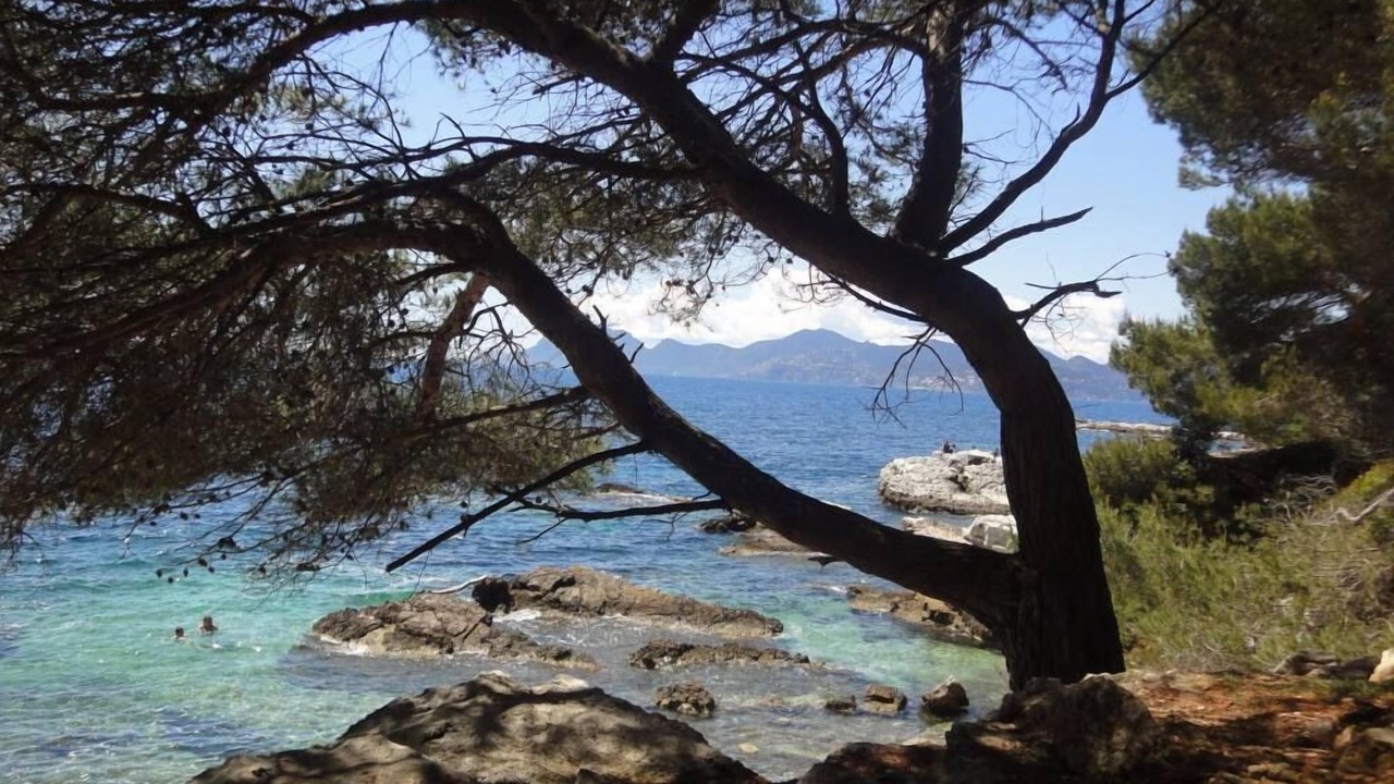 Photo of Others in Saint-Cezaire-sur-Siagne