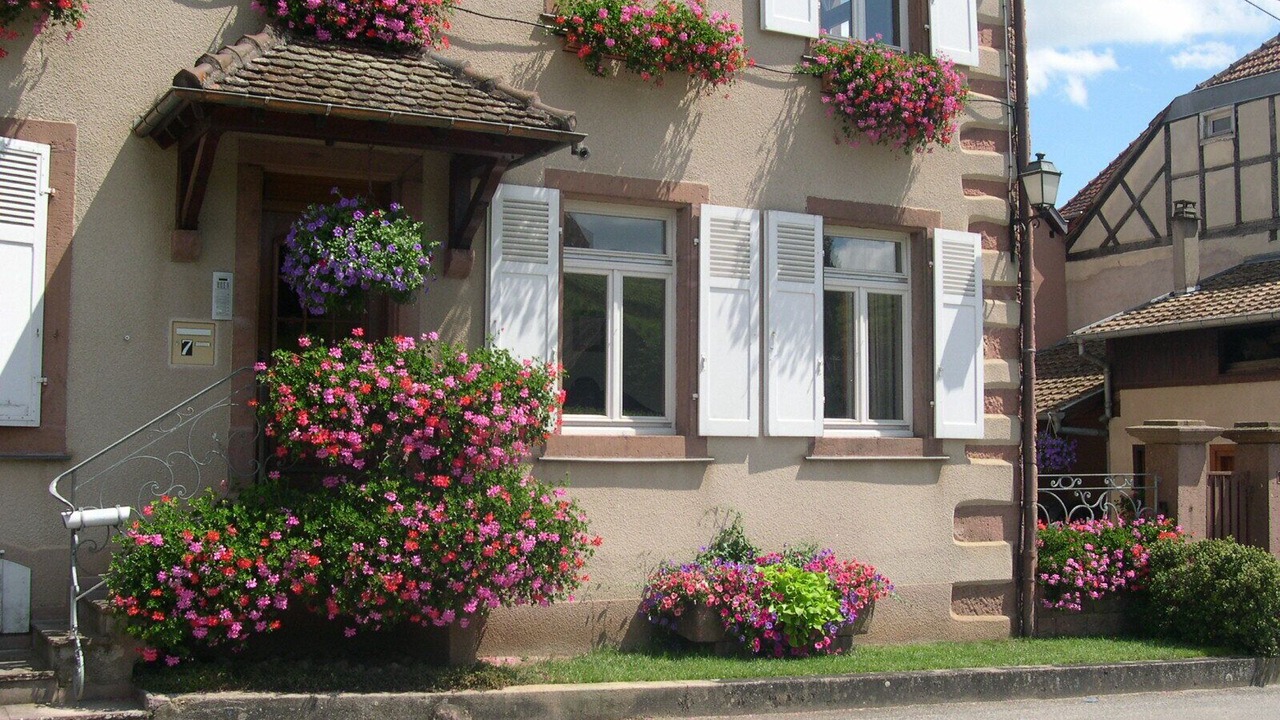 Photo of Outdoor in Hunawihr