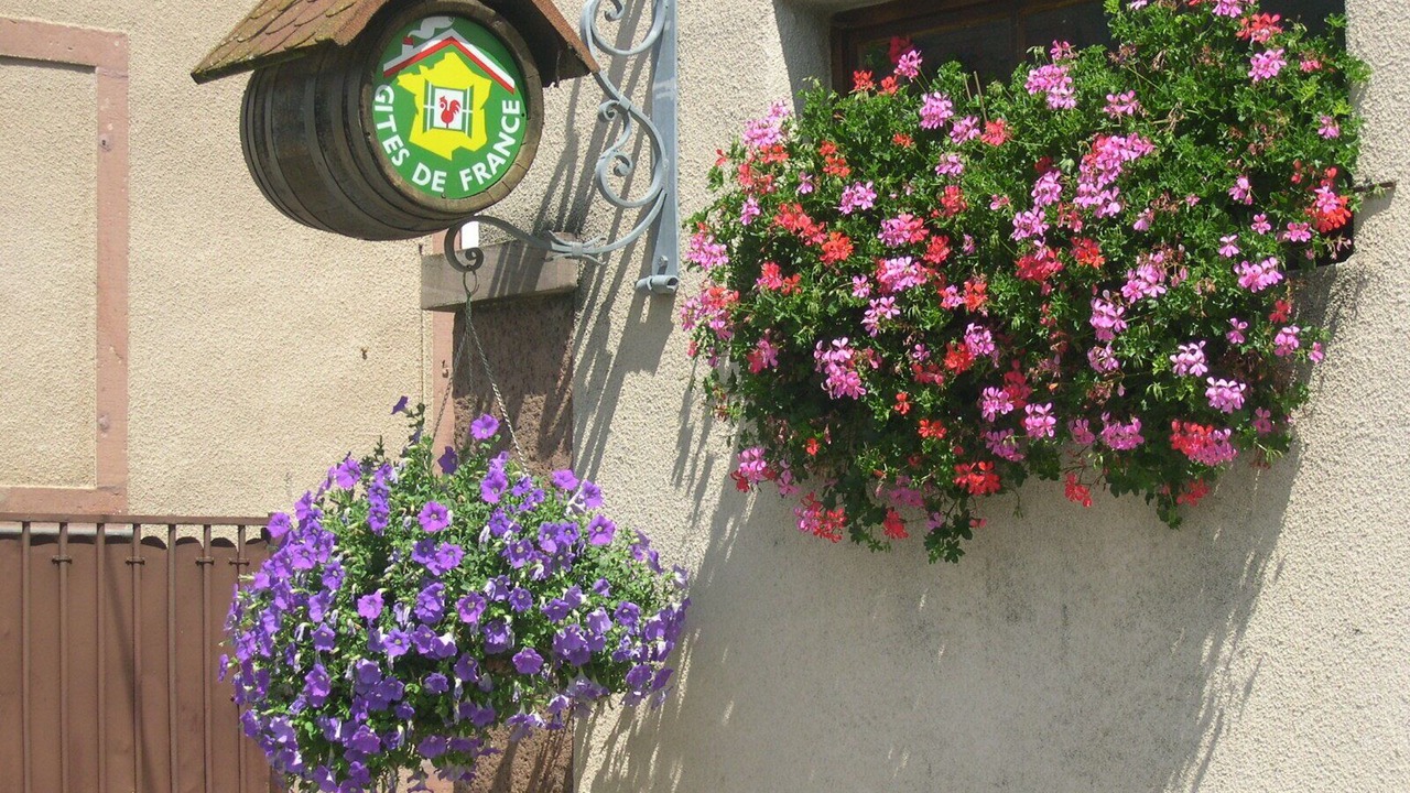 Photo of Outdoor in Hunawihr