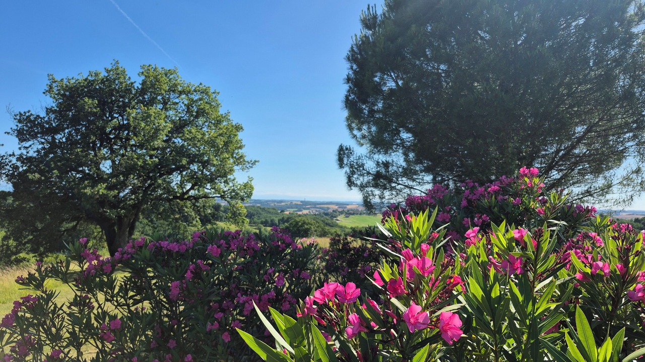 Photo of Outdoor in Miramont-d'Astarac