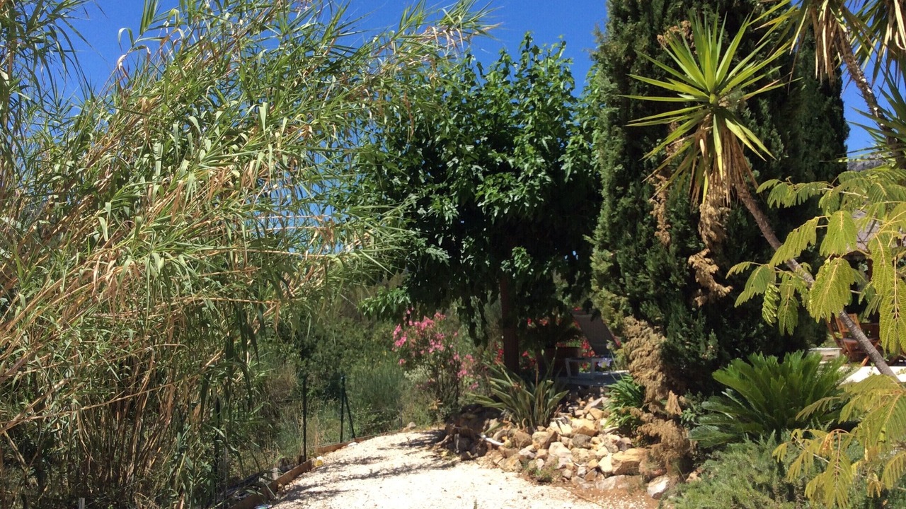 Photo of Outdoor in Belgentier