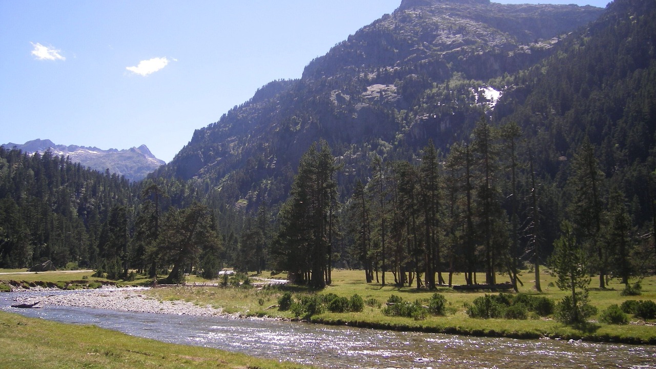 Photo of Others in Cauterets