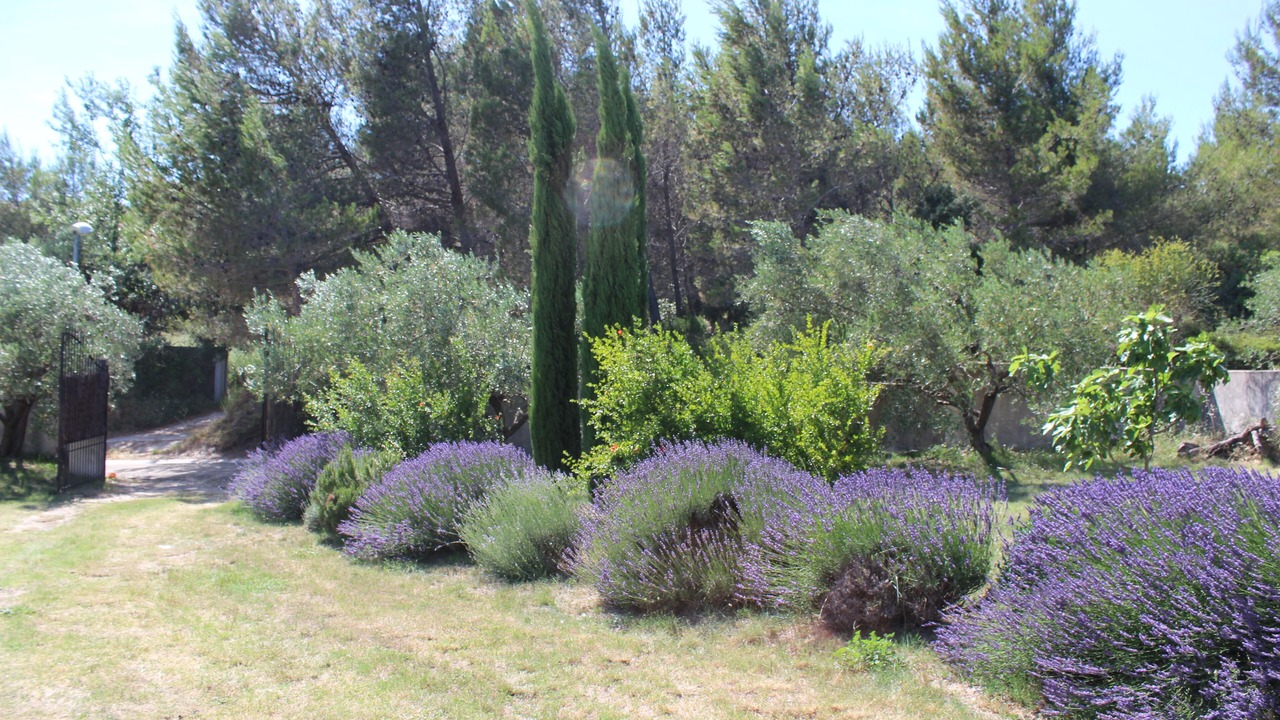 Photo of Outdoor in Aramon