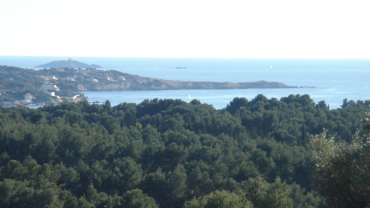 Photo of Others in Bandol