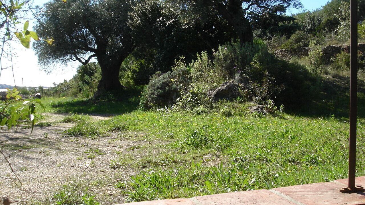 Photo of Outdoor in Bandol