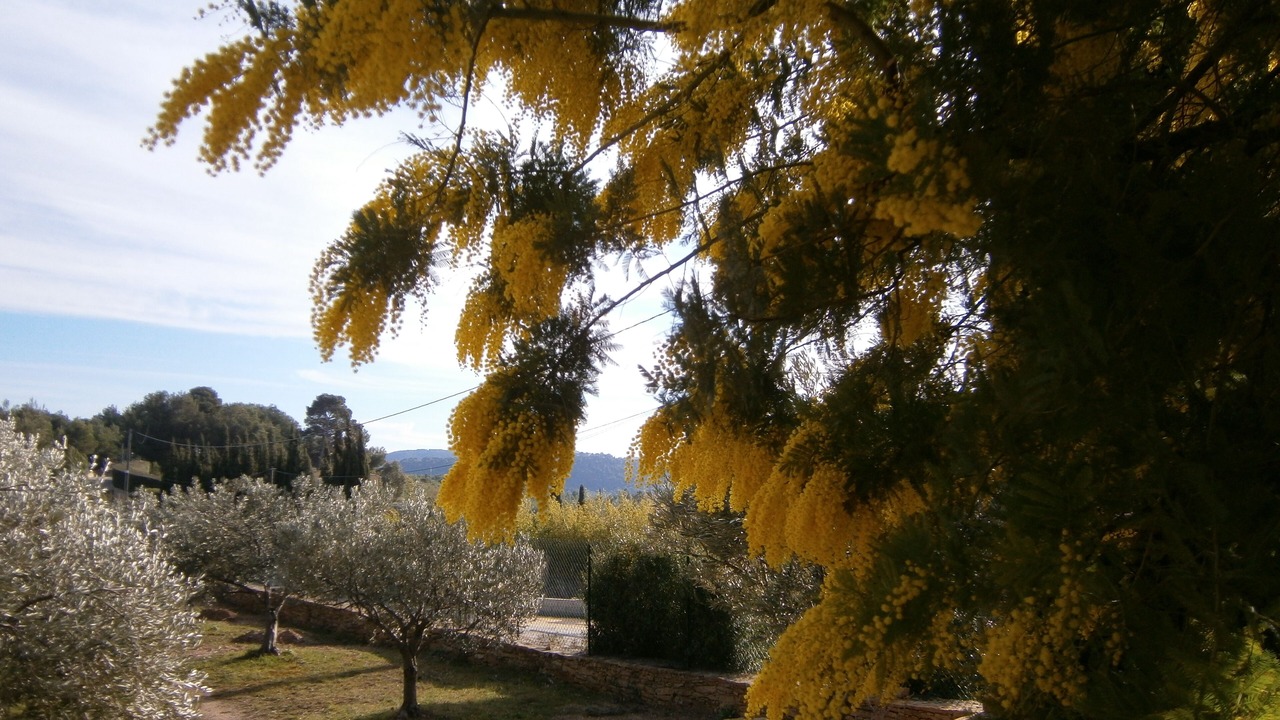Photo of Outdoor in La Cadiere-d'Azur