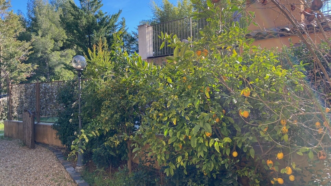 Photo of Outdoor in La Cadiere-d'Azur