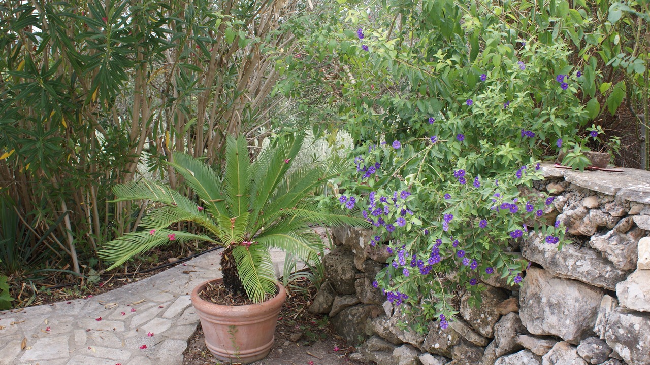 Photo of Outdoor in Montfort-sur-Argens