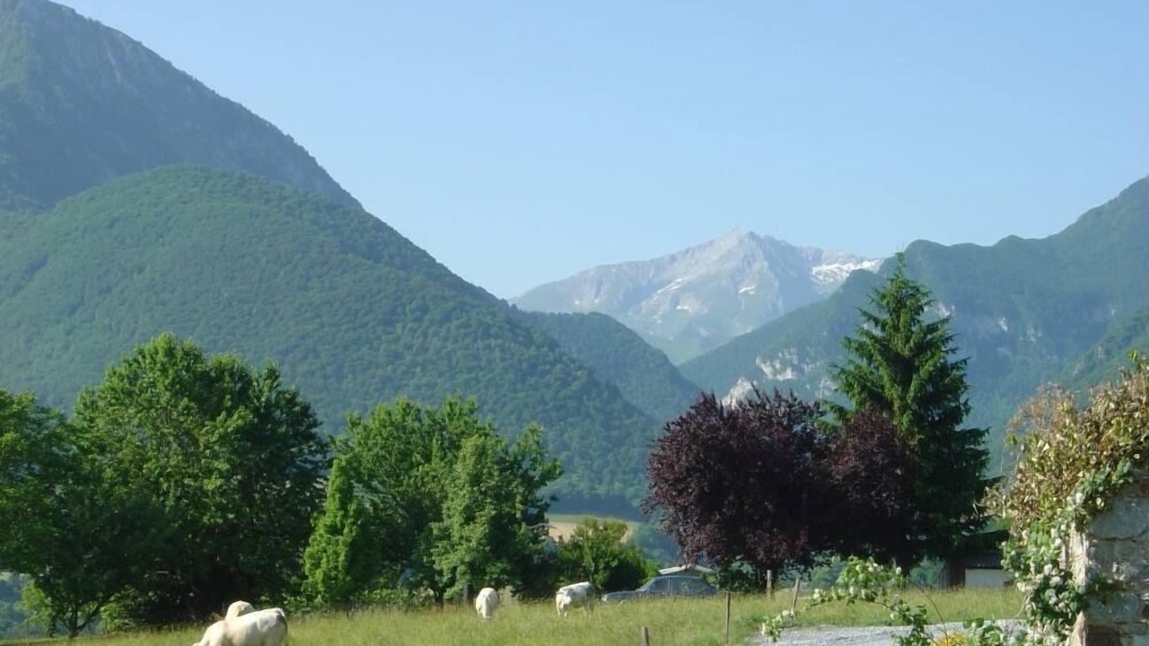 Photo of Outdoor in Asson