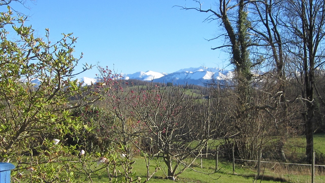 Photo of Outdoor in Lasseube