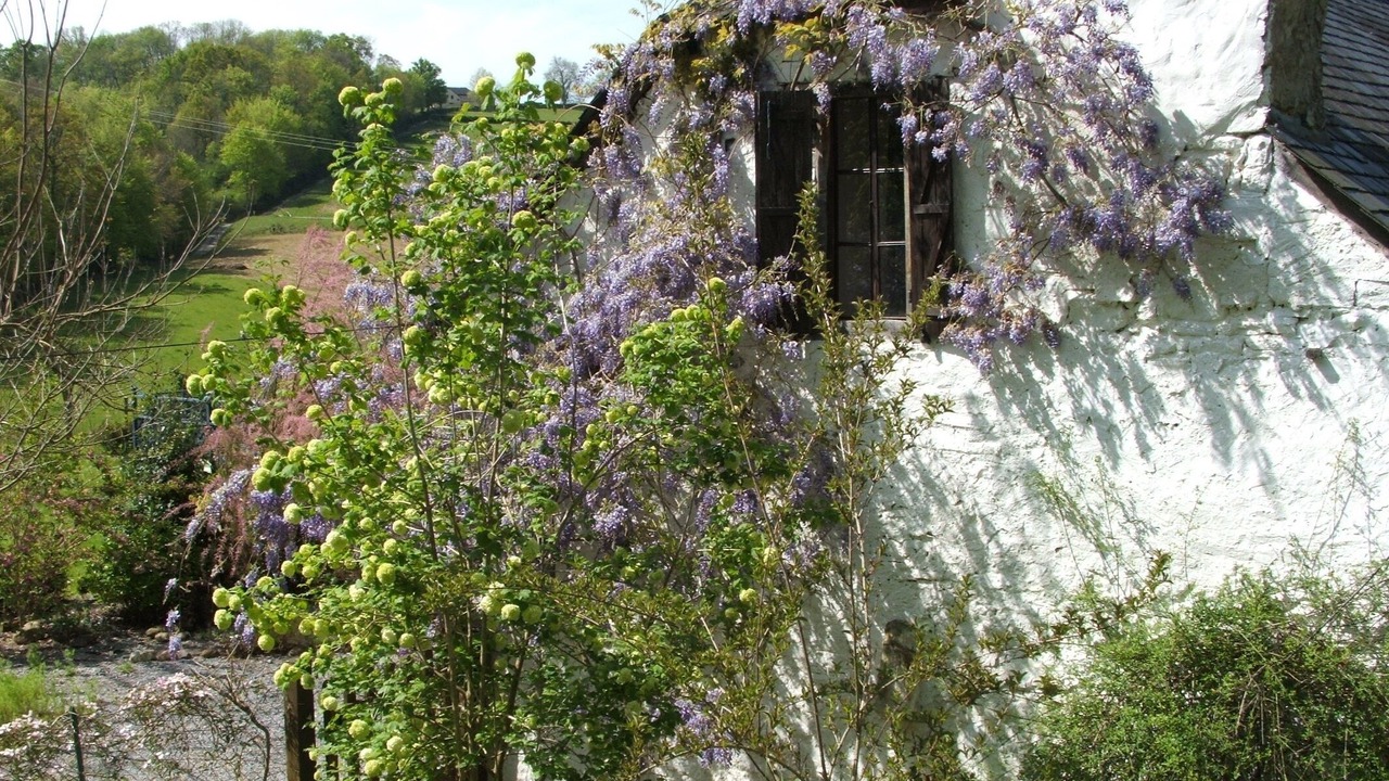 Photo of Outdoor in Lasseube