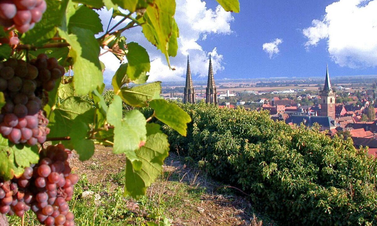 Photo of Outdoor in Nothalten