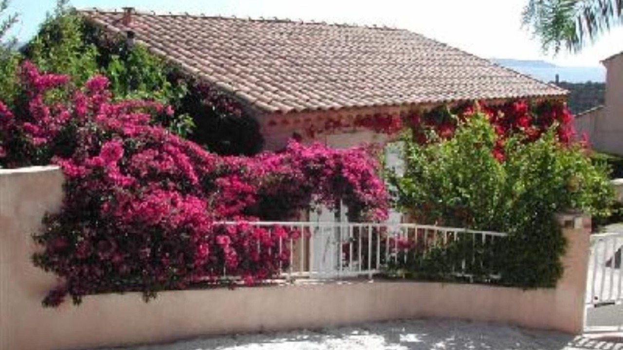 Photo of Others in Hyeres