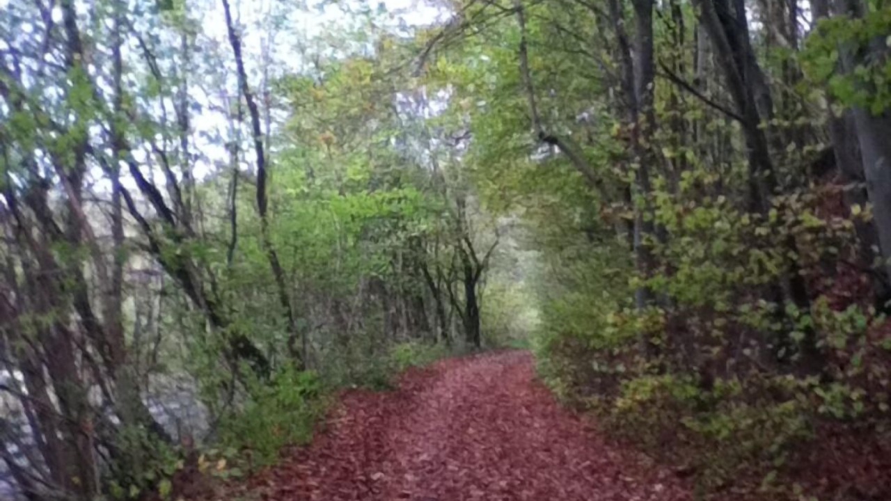 Photo of Outdoor in Charency-Vezin