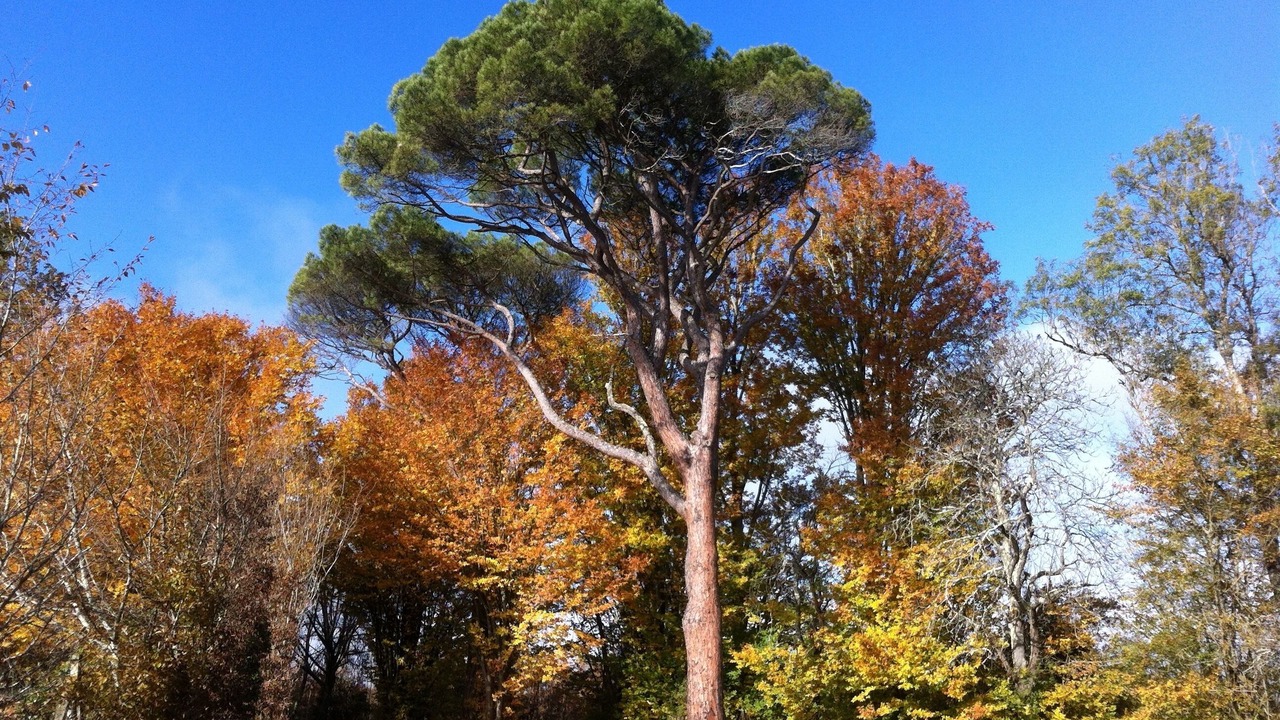 Photo of Outdoor in Lupiac
