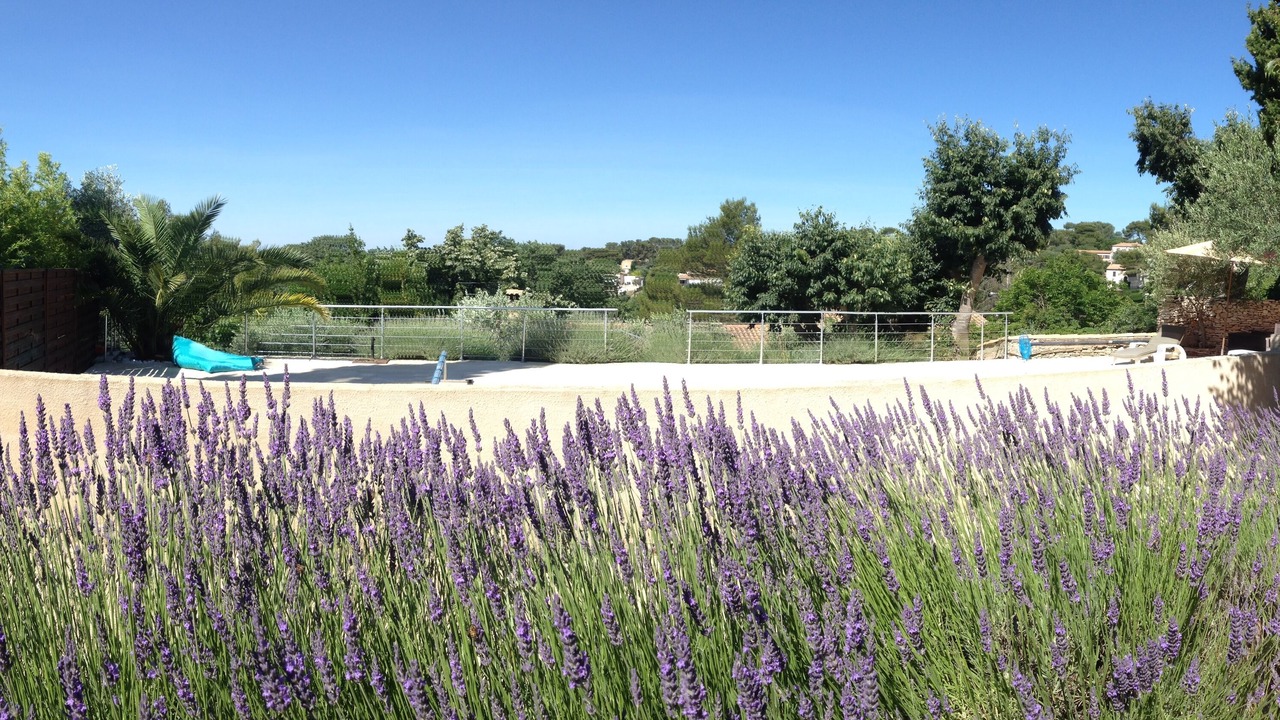 Photo of Outdoor in Les 3 Ponts