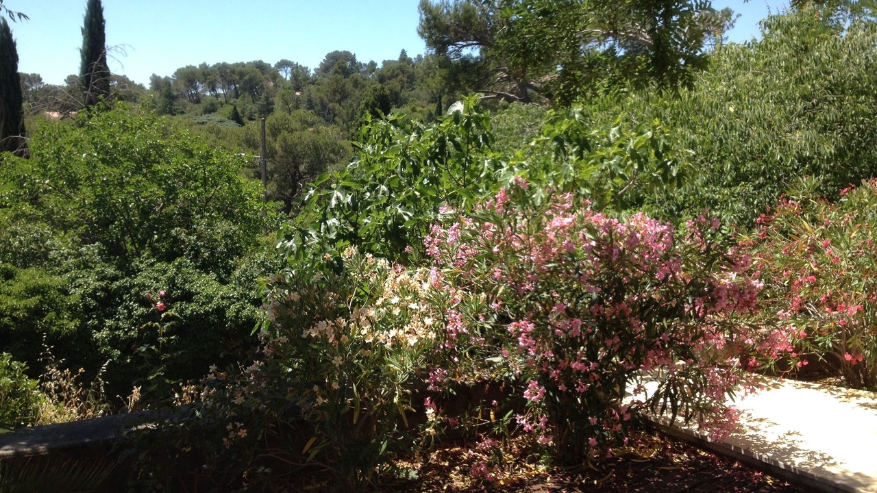 Photo of Outdoor in Les 3 Ponts