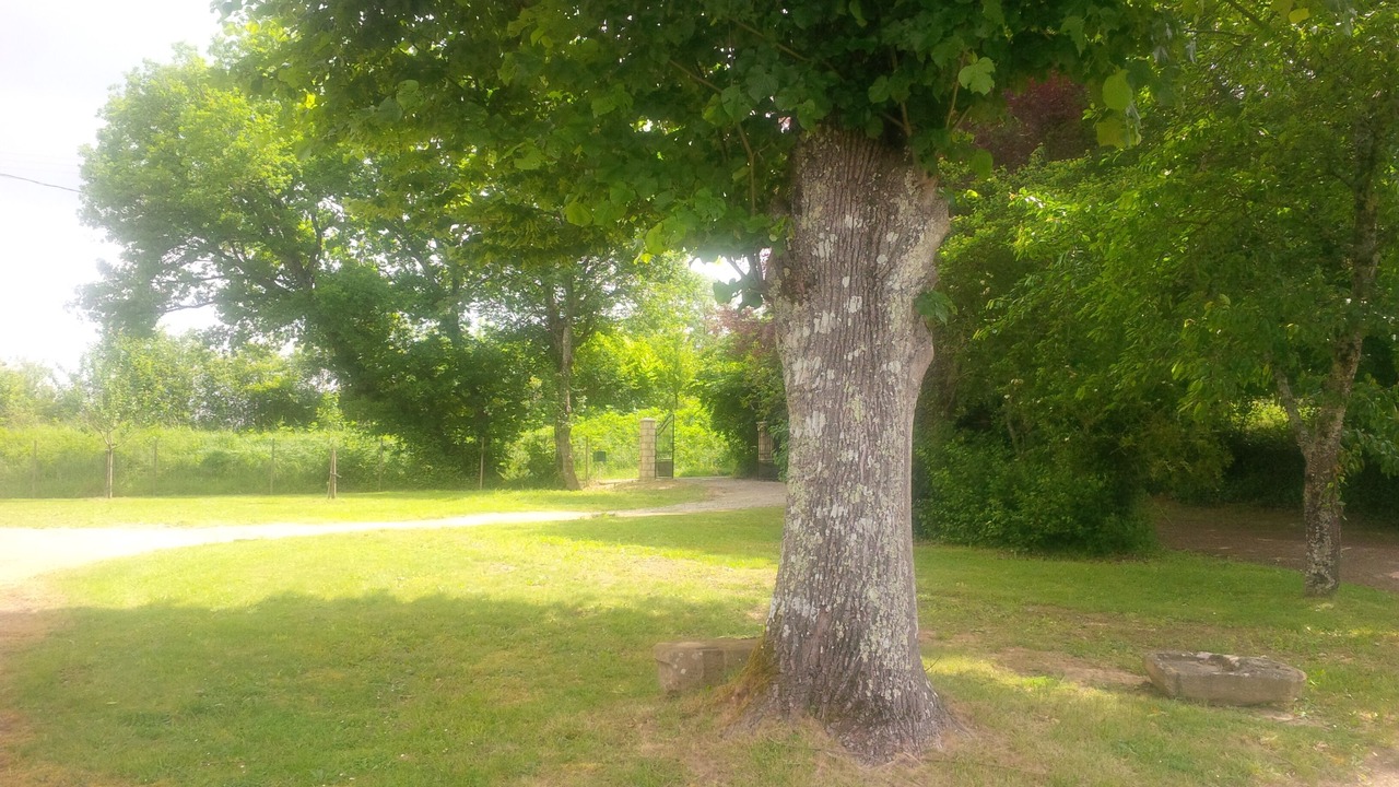 Photo of Outdoor in Aignan