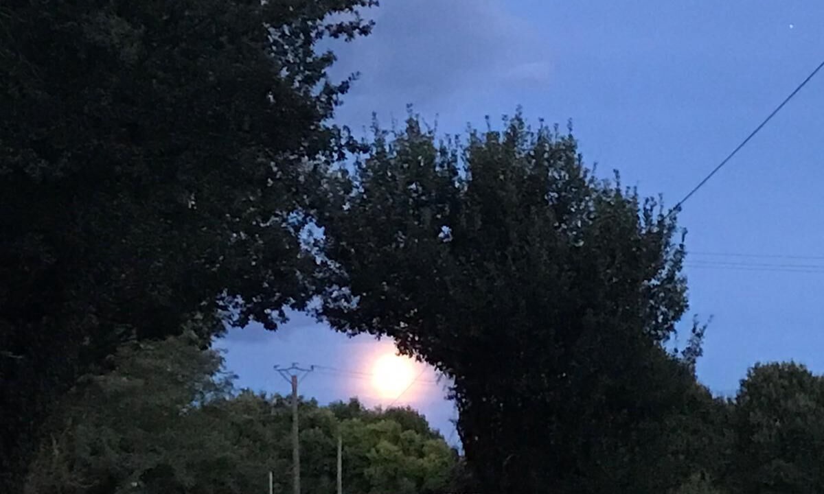 Photo of Outdoor in Aignan